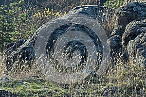 Landscape of autumnal nature with mountain, dry grass and rosk field in Balkan mountain