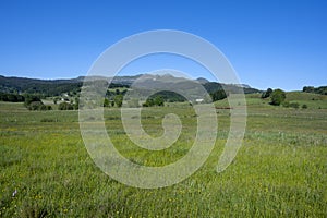 Landscape of Auvergne mountains in spring in France