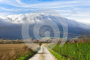 Landscape of Ayala valley photo