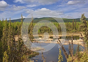 Landscape in the Back Country of Alaska