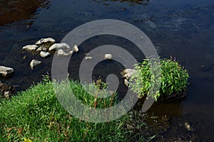 Landscape background / autumn stram