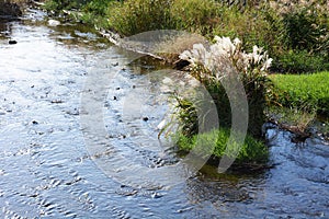 Landscape background / autumn stram