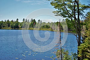 Landscape background of a beautiful forest island in the middle of a lake upper peninsula michigan