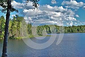 Landscape background of a beautiful forest island in the middle of a lake upper peninsula michigan