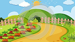 Landscape background design of vegetable garden