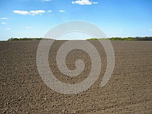 Landscape. Background field, black soil, sky and trees.