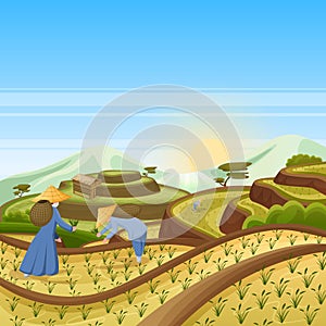 Landscape background with green rice terrace fields. People harvest rice in field. Harvesting, agriculture vector illustration