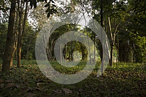 Landscape background in Thailand photo