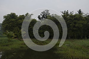 Landscape background in Thailand photo
