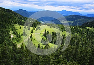 Top view of a mountain meadow