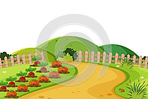 Landscape background with vegetables on farmland