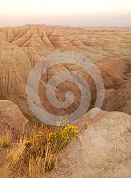 The landscape of the Badlands shows bands of color in the dry eroded soil