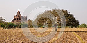 Landscape of Bagan, Myanmar