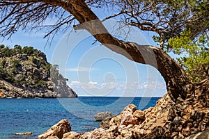 Landscape on Balearic island Mallorca, Spain