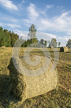 Landscape with a baled hay roll in summer .