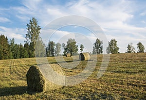 Landscape with a baled hay roll in summer .