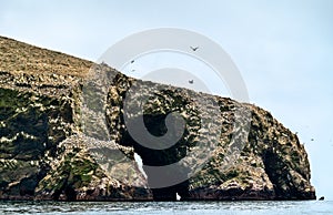 Landscape of the Ballestas Islands in Peru