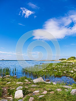 Landscape on the Baltic Sea coast on the island of Oland in Sweden