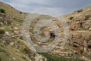 A Landscape on the Bank of the Prat Stream, Israel photo