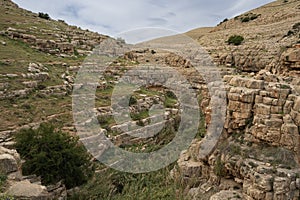 A Landscape on the Bank of the Prat Stream, Israel photo