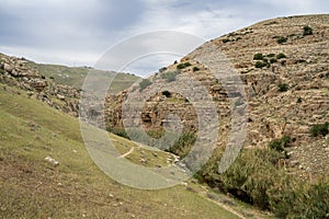 A Landscape on the Bank of the Prat Stream, Israel photo