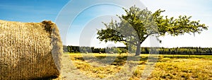 Landscape banner wide panoramic panorama background - Hay bales / straw bales on a field and blue sky with bright sun and apple