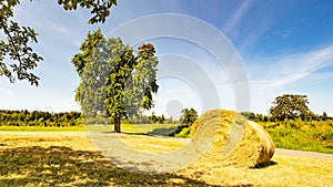 Landscape banner wide panoramic panorama background - Hay bales / straw bales on a field and blue sky with bright sun and apple