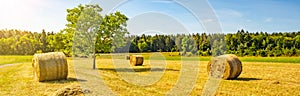 Landscape banner wide panoramic panorama background - Hay bales / straw bales on a field and blue sky with bright sun and apple