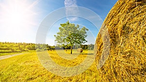 Landscape banner wide panoramic panorama background - Hay bales / straw bales on a field and blue sky with bright sun and apple