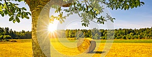 Landscape banner wide panoramic panorama background - Hay bales / straw bales on a field and blue sky with bright sun and apple