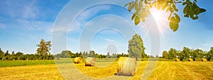 Landscape banner wide panoramic panorama background - Hay bales / straw bales on a field and blue sky with bright sun and apple