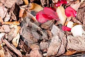 Crushed tree bark texture background with autumn leaves, pebbles and red rose petals for mulching for landscape decoration