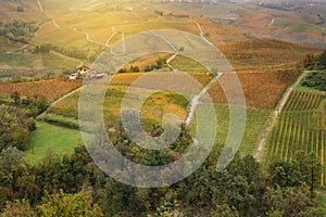 Landscape of Barolo wine region