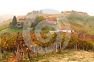 Landscape of Barolo wine region