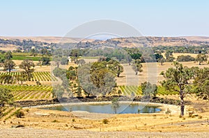 Landscape - Barossa Valley