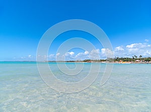 Landscape of Barra Grande beach, Maragogi AL Brazil photo