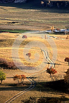 Landscape of Bashang Grasslands