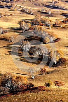 Landscape of Bashang Grasslands