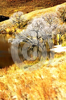 Landscape of Bashang Grasslands