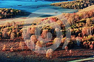 Landscape of Bashang Grasslands