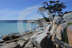 Landscape of Bay of Fires Tasmania Australia