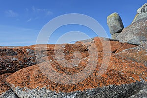 Landscape of Bay of Fires Tasmania Australia