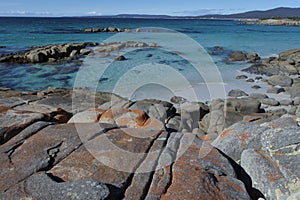 Landscape of Bay of Fires Tasmania Australia