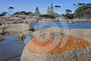 Landscape of Bay of Fires Tasmania Australia