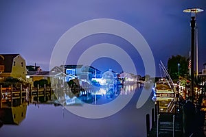 Landscape of Bay Life Reflected