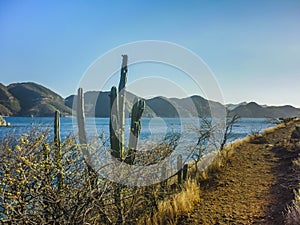 Landscape of the Bay of Taganga Colombia photo