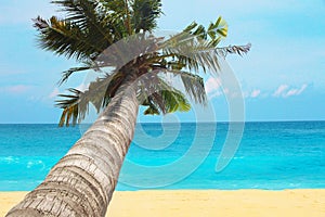 Landscape beach coconut palm tree with blue sea and sky in summer holiday