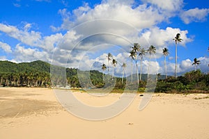 Landscape the beach of Nacpan. The island of Palawan.