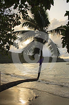 Landscape the beach of Port Barton. The island of Palawan.