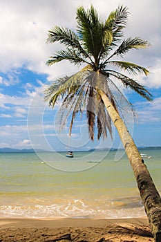 Landscape the beach of Port Barton. The island of Palawan.